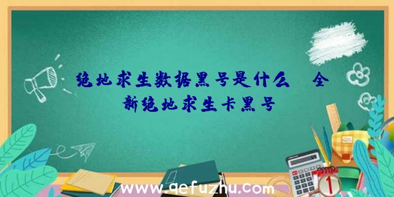 「绝地求生数据黑号是什么」|全新绝地求生卡黑号